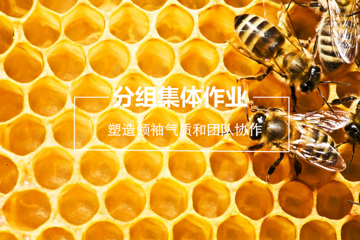 冰球突破-冰球电游豪华版_MG冰球游戏