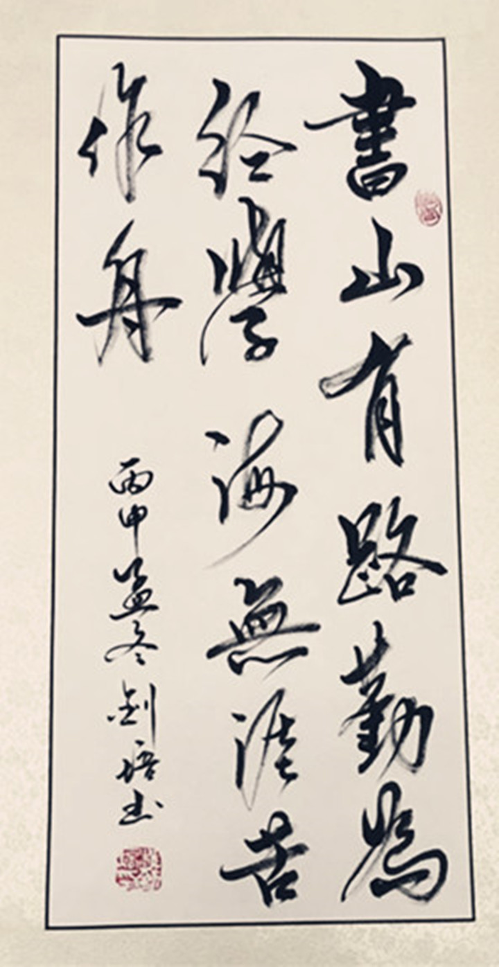 mg冰球突破豪华版少年宫书法先生——赵钊培作品浏览