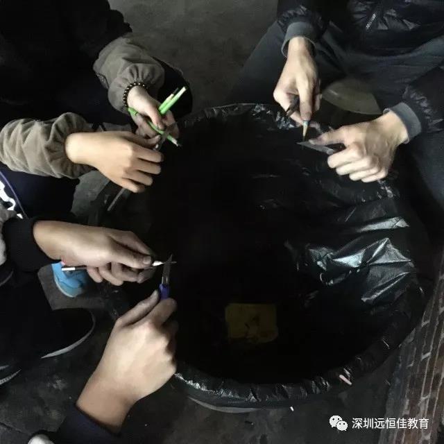 冰球突破-冰球电游豪华版_MG冰球游戏