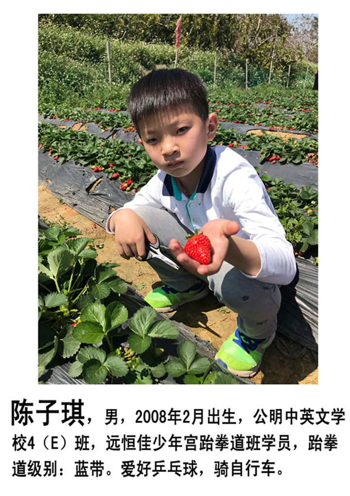冰球突破-冰球电游豪华版_MG冰球游戏