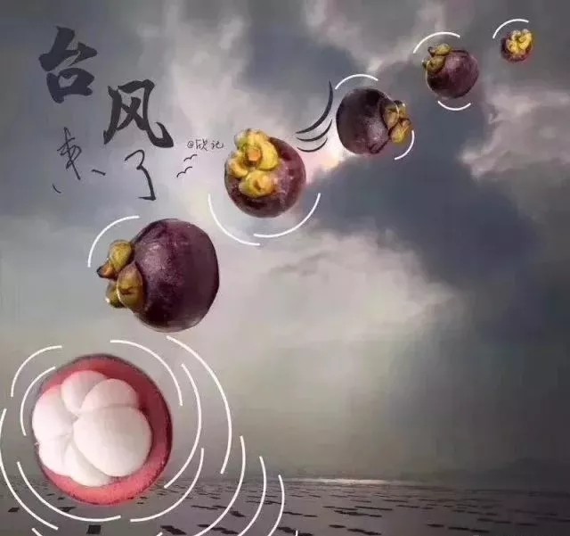 台风无情人有情，，，，，应对台风“山竹”，，，，，我们团结一心。。。。。。
