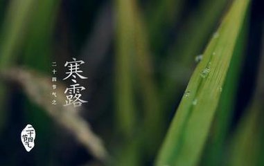 冰球突破-冰球电游豪华版_MG冰球游戏