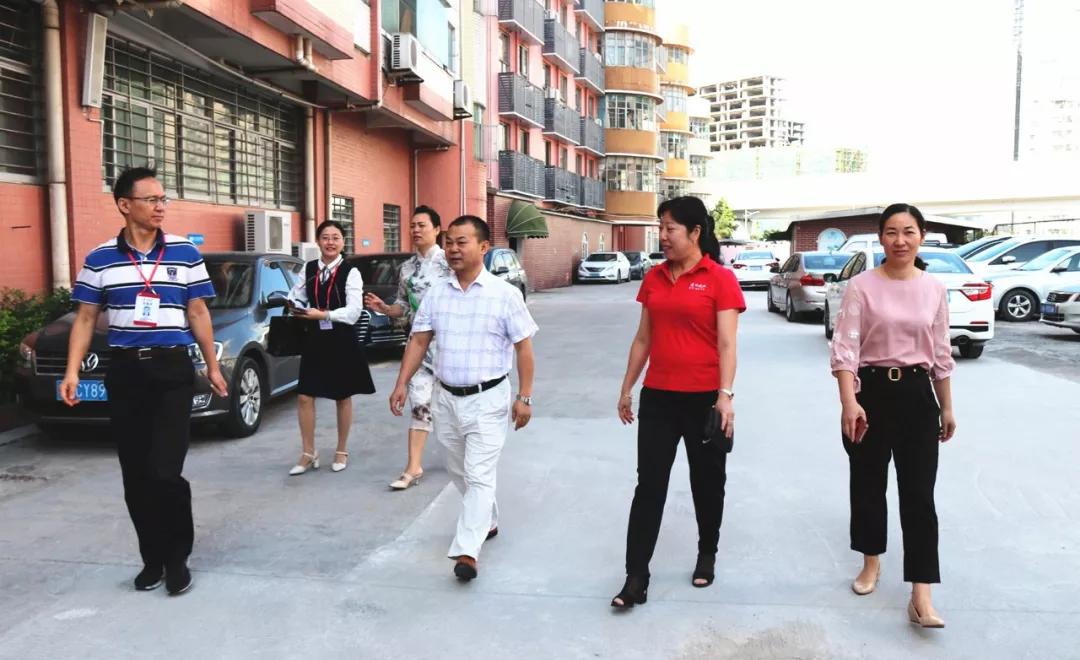 责任督学来校举行11月督导，，，，，，，，接待干部与受访西席获益匪浅