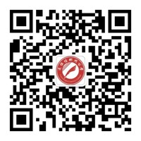 冰球突破-冰球电游豪华版_MG冰球游戏