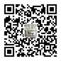 冰球突破-冰球电游豪华版_MG冰球游戏