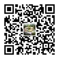 冰球突破-冰球电游豪华版_MG冰球游戏
