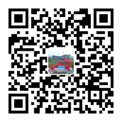 冰球突破-冰球电游豪华版_MG冰球游戏