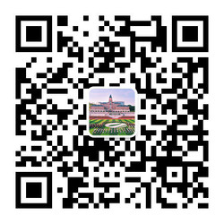冰球突破-冰球电游豪华版_MG冰球游戏