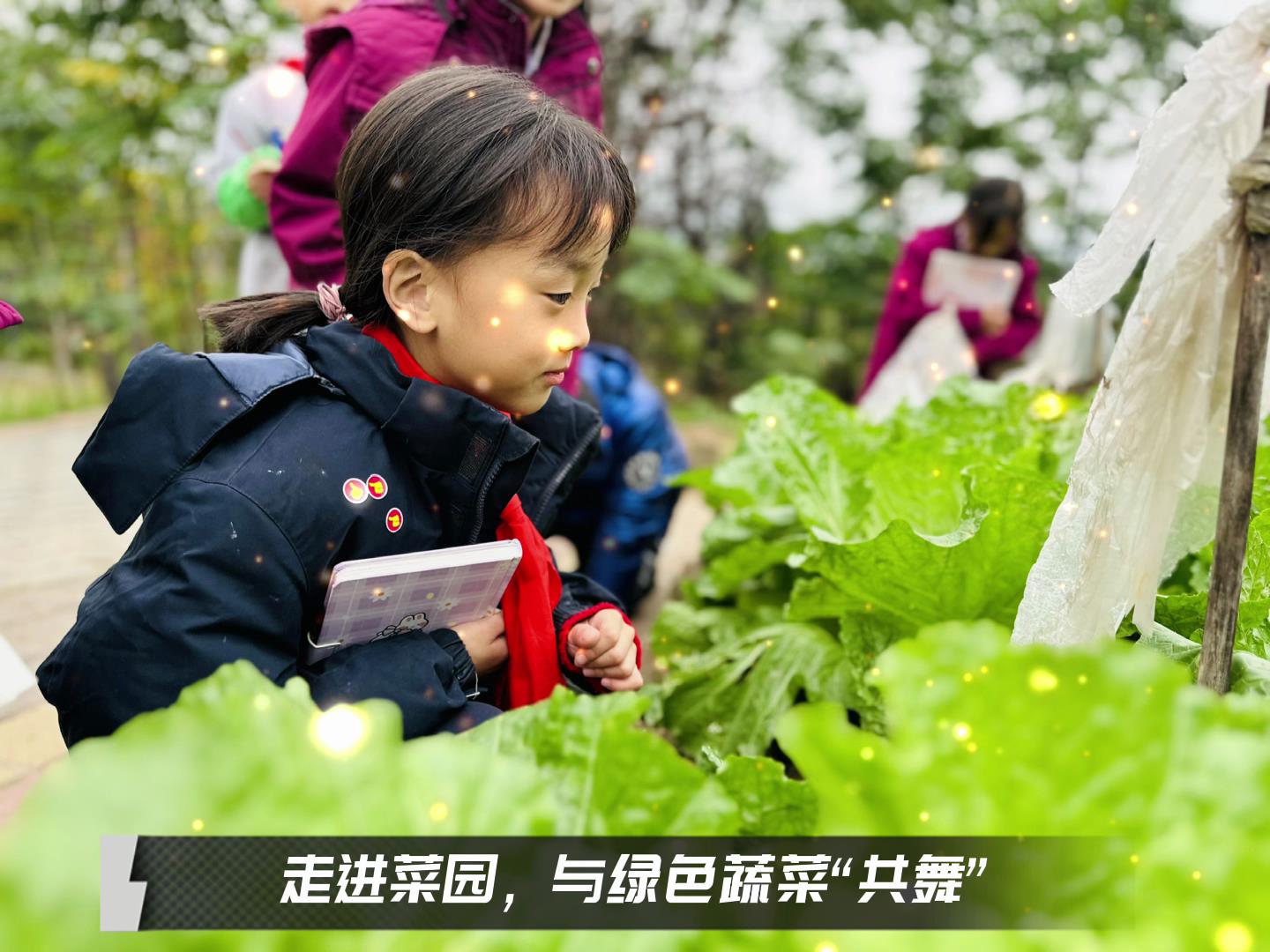 美勤学校|留校时光，，，，，走出课堂，，，，，与绿色蔬菜共舞