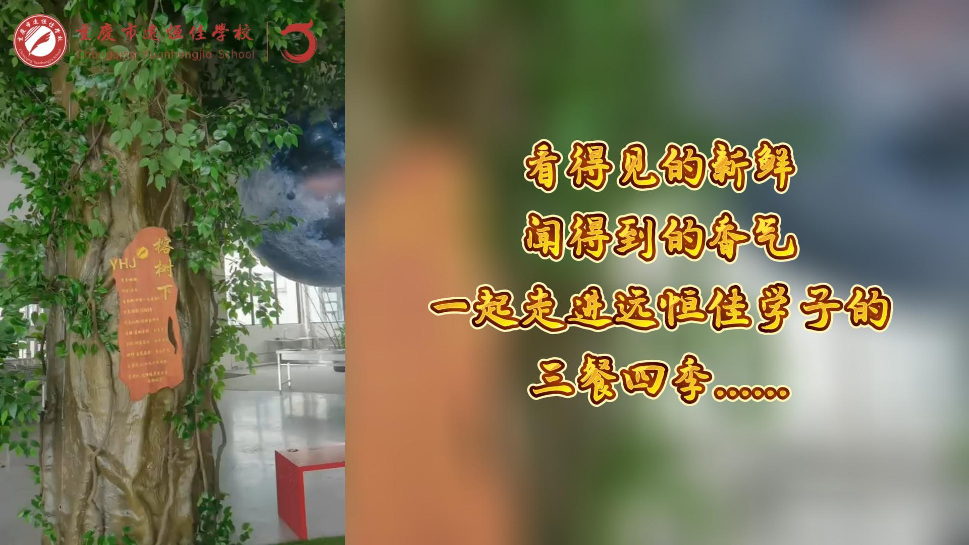 美勤学校|看得见的新鲜，，，，，闻获得的香味，，，，，一起走进mg冰球突破豪华版学子的三餐四序!